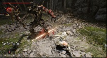 Vindictus : Defying Fate